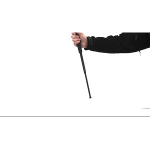 Pałka teleskopowa ProSecur baton 26" black Walther