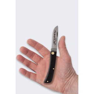 Nóż Case Sod Buster Jr SS Black