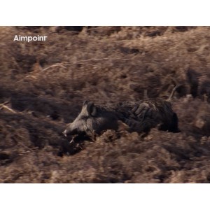 Kolimator Aimpoint Micro H-2 2 MOA