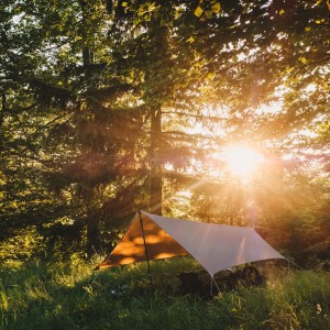 Tarp Lesovik ZMORA mayfly green