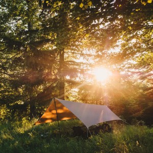 Tarp Lesovik ZMORA walnut brown