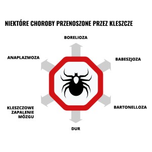 Repelent spray Mugga 9,5% DEET 75 ml