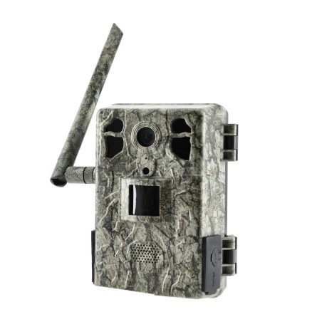 Fotopułapka GSM kamera leśna TOPHUNT H6 Tree grain