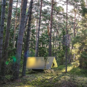 Tarp Lesovik GROZA walnut brown