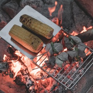 Grill turystyczny Easy Camp Campfire Grill Trivet - silver