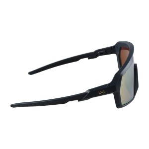 Okulary Wiley X Citadel CHCTD10 gold / graphite grey