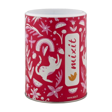 Chrupiące Mango Mixit 100 g