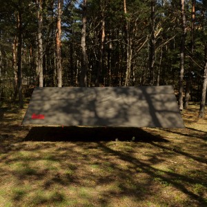Tarp TigerWood RedLine 3x4 oliwkowy