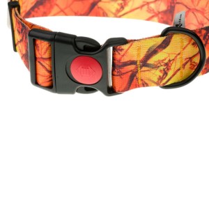 Obroża z taśmy 4wild 40 mm 39-61 cm pomarańczowy kamuflaż