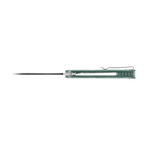 Nóż składany Ganzo Firebird FH91-GB