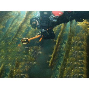 Podwodny wykrywacz metali Quest Metal Detectors Scuba Tector czarny