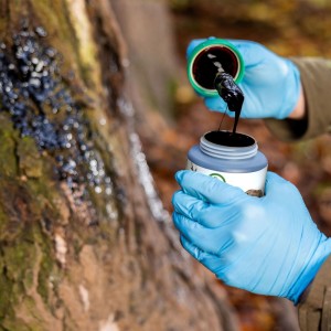 Smoła bukowa Eurohunt środek wabiący dziki z pędzlem 500ml