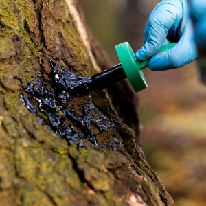 Smoła bukowa Eurohunt środek wabiący dziki z pędzlem 500ml
