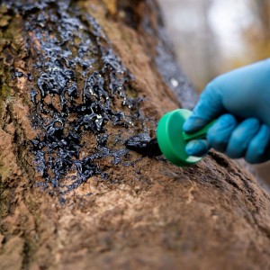 Smoła bukowa Eurohunt środek wabiący dziki z pędzlem 500ml