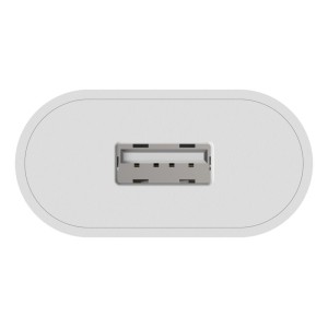Ładowarka Ansmann HC105 biała USB 5W, 1A