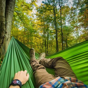Hamak Lesovik Bystry treetop green