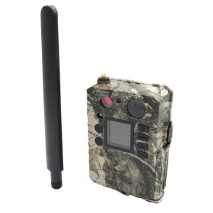 Kamera fotopułapka GSM BG310-M